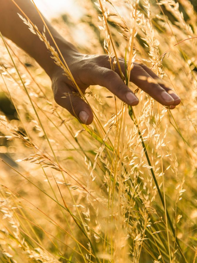 vasmala-aboutus-1500x2012 (2)