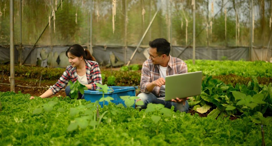 vasmala-ourapproach-1500x806